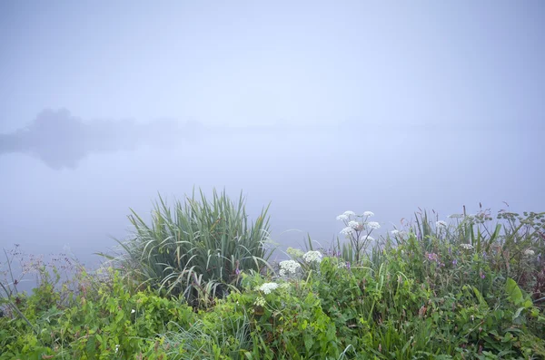 Neblig trüber Morgen auf dem Fluss — Stockfoto