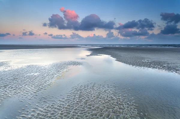 Nascer do sol sobre o mar do Norte na maré baixa — Fotografia de Stock