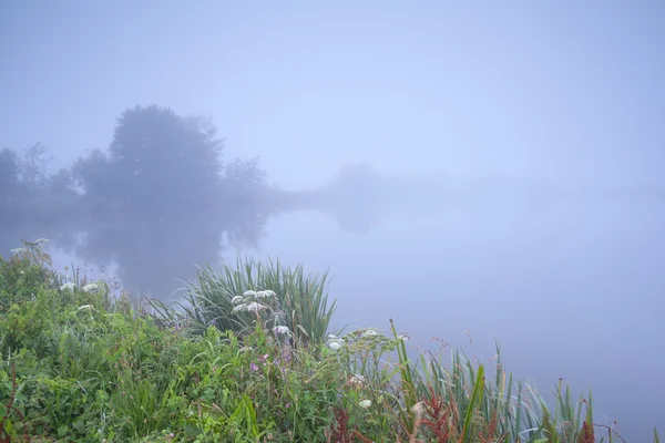 Dichter Nebel über dem Fluss — Stockfoto