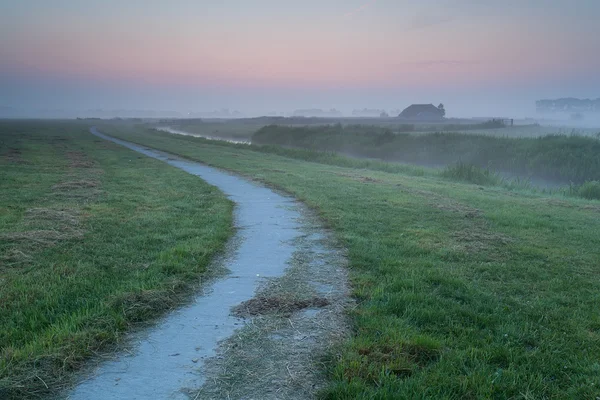 Path on farmland during misty sunrise — Stock Photo, Image