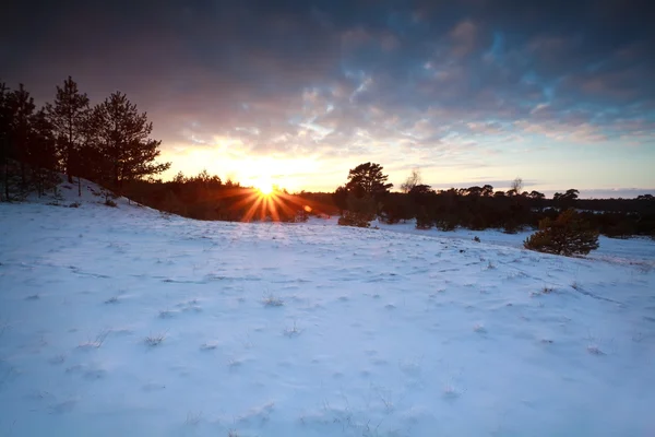 Puesta de sol sobre el prado de nieve en invierno — Foto de Stock