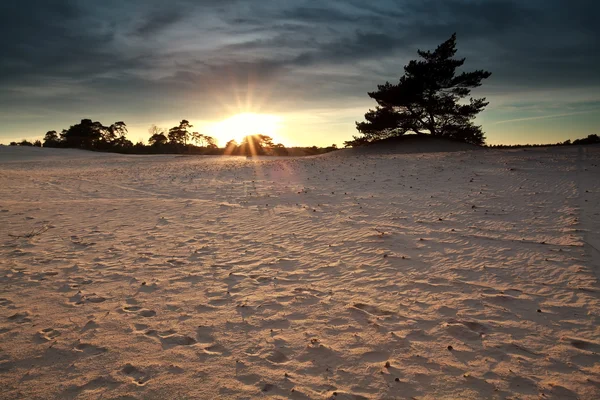 Puesta de sol sobre dunas de arena — Foto de Stock