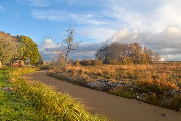 秋の朝ゴールド川 — ストック写真