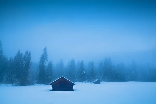 Staré chaty a jehličnatý Les v zimě mlha — Stock fotografie
