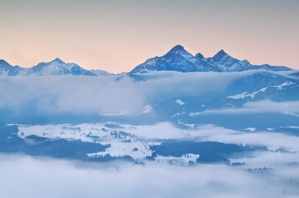 Alpy w porannej mgle zimą — Zdjęcie stockowe