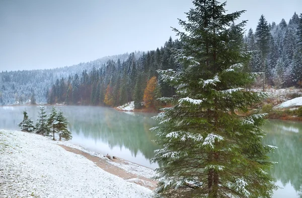 在巴伐利亚阿尔卑斯山的雪 Grubsee 湖。 — 图库照片