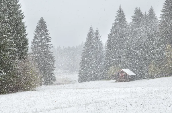 Heftiger Schneesturm über Almwiesen im Wald — Stockfoto