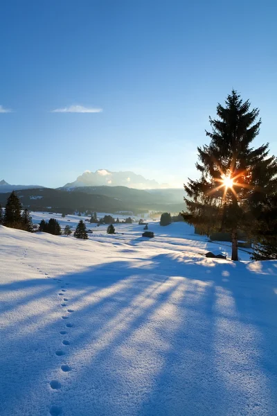 Solnedgång över vintern alpina ängar — Stockfoto