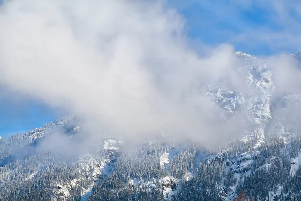 Montaña rocosa en nieve y niebla —  Fotos de Stock