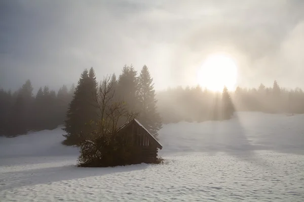 Salida del sol sobre el prado alpino de nieve — Foto de Stock