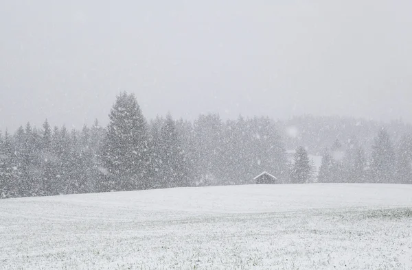 Sněhová bouře nad louku s hut — Stock fotografie