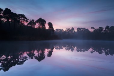 ormandaki göl üzerinde sonbahar gündoğumu istiyorsunuz