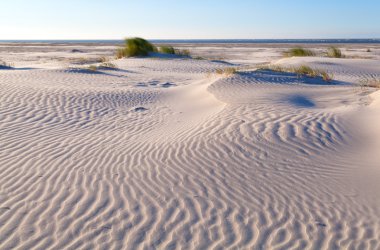 kıyı dune kum desen