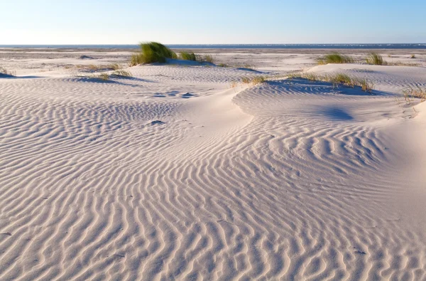 Sandmuster auf Küstendüne — Stockfoto
