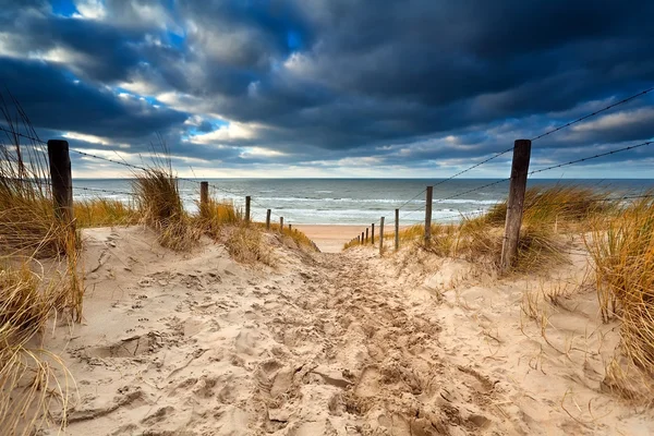 Sentiero di sabbia per la spiaggia del Mare del Nord — Foto Stock