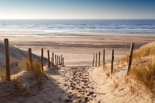 Sentiero di sabbia verso il Mare del Nord al tramonto — Foto Stock