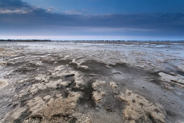 Fango con bassa marea sulla costa del Mare del Nord — Foto Stock