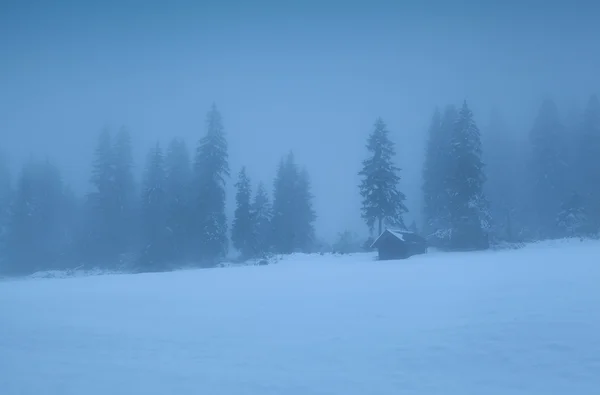 Vieja choza en el bosque alpino brumoso — Foto de Stock