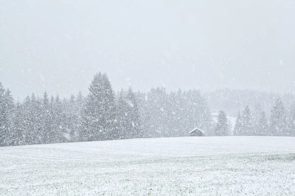 Schneesturm auf bayerischen Wiesen — Stockfoto