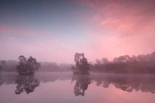 Gyönyörű rózsaszín ködös sunrise vad tóra — Stock Fotó