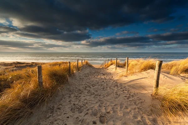 Sentiero di sabbia per la spiaggia del Mare del Nord — Foto Stock