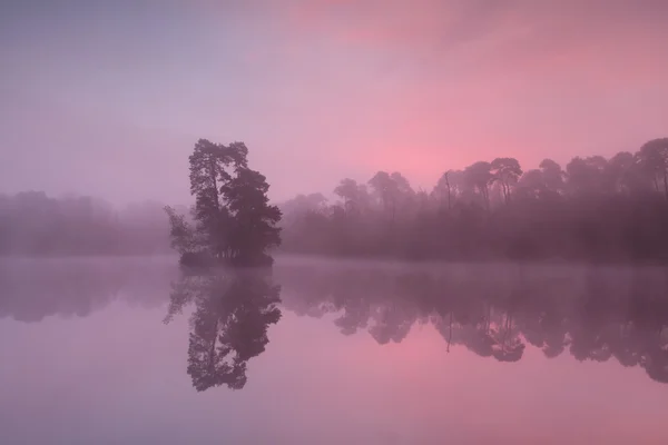 Krásný východ slunce na jezeře Les — Stock fotografie