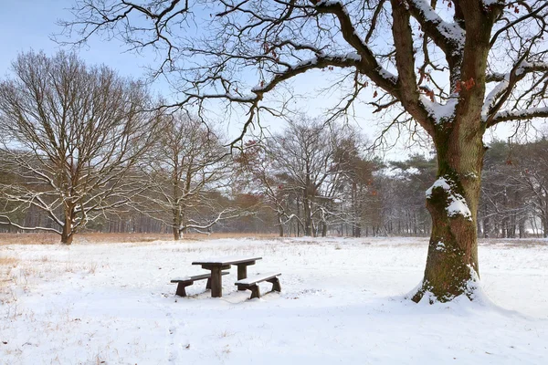 Banco en el lugar de descanso en la nieve en invierno —  Fotos de Stock