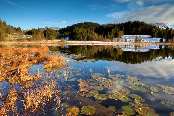 阿尔卑斯山和 Geroldsee 湖在秋天 — 图库照片