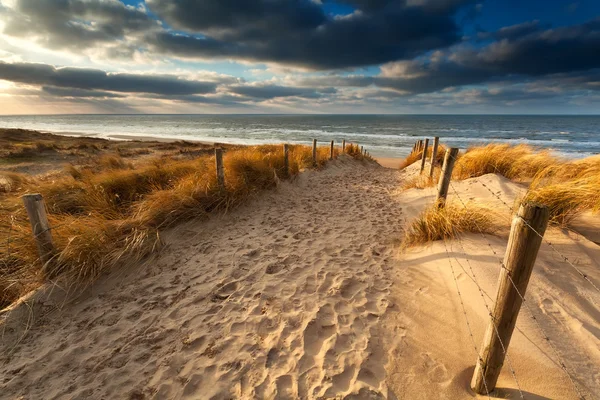 Sand path to North sea beach — Stock Photo, Image