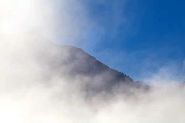 Montagna nella fitta nebbia mattutina — Foto Stock