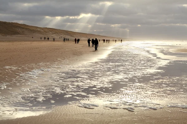 Menschen Silhouetten am Sandstrand bei Sonnenuntergang — Stockfoto