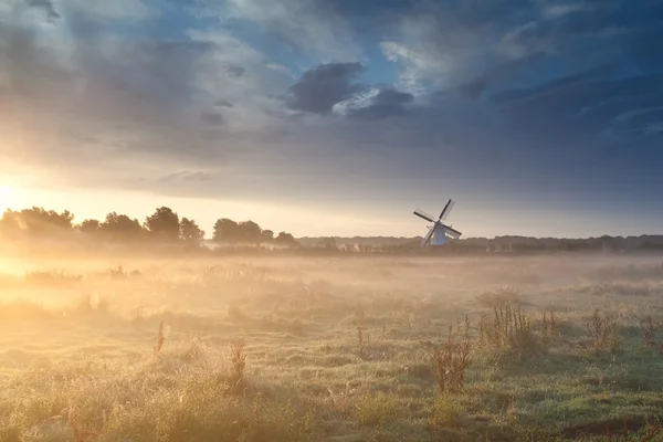 Ветряная мельница в летнем тумане на рассвете — стоковое фото