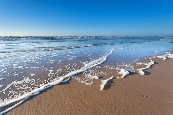 Песчаный пляж Северного моря и голубое небо — стоковое фото