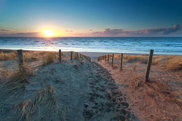 Pad geen Noordzee strand bij zonsondergang — Stockfoto