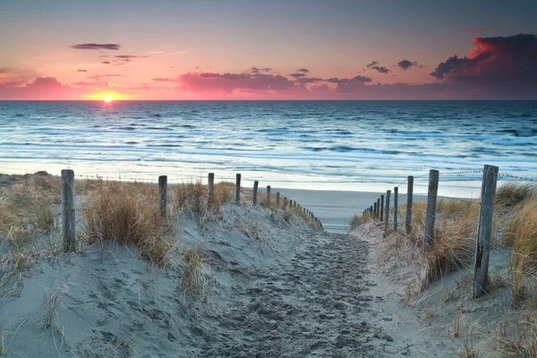 Sentiero di sabbia fino alla spiaggia del Mare del Nord prima del tramonto — Foto Stock