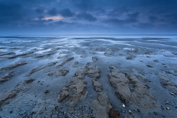 Texture della costa con bassa marea — Foto Stock