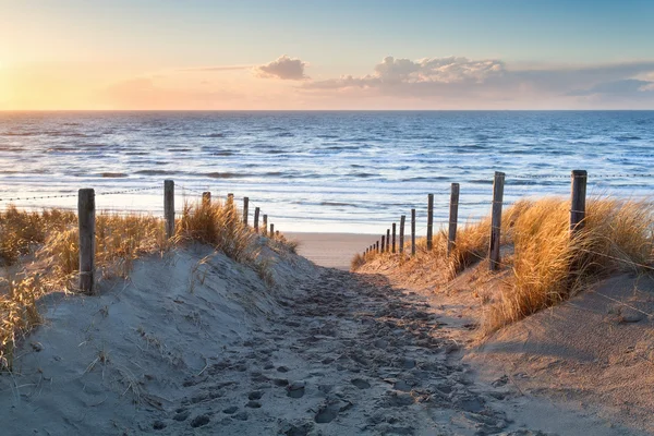 Sentiero di sabbia verso la costa del Mare del Nord al tramonto — Foto Stock