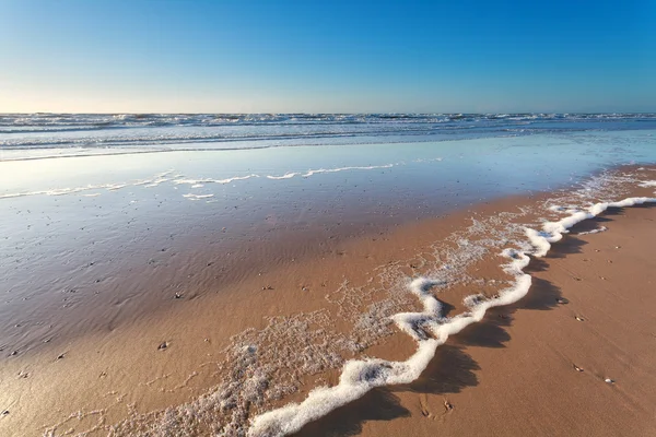 北の海の砂のビーチと太陽の光 — ストック写真