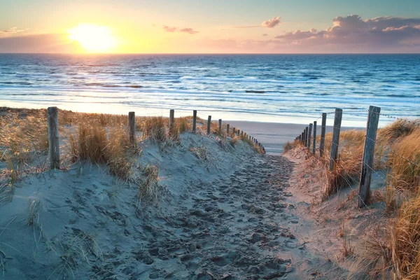 Puesta de sol sobre el camino a la playa del Mar del Norte —  Fotos de Stock