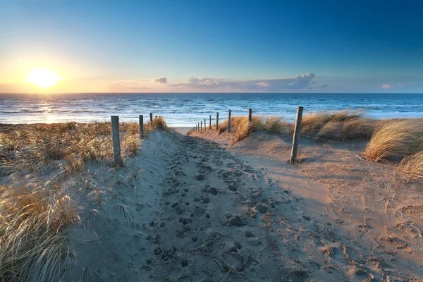 Stig på sand till ocean beach — Stockfoto