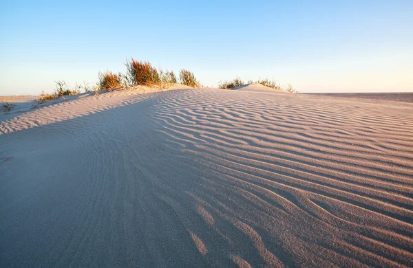 Wind patroon op zand-duin — Stockfoto