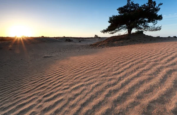 Padrão de areia na luz do sol da manhã — Fotografia de Stock