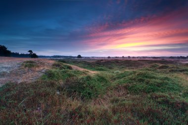 Yaz gündoğumu yeşil tepeler üzerinde