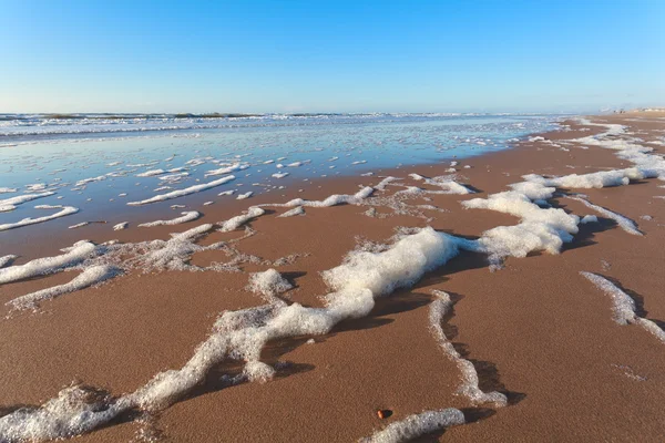Песчаный пляж на северном море и голубое небо — стоковое фото