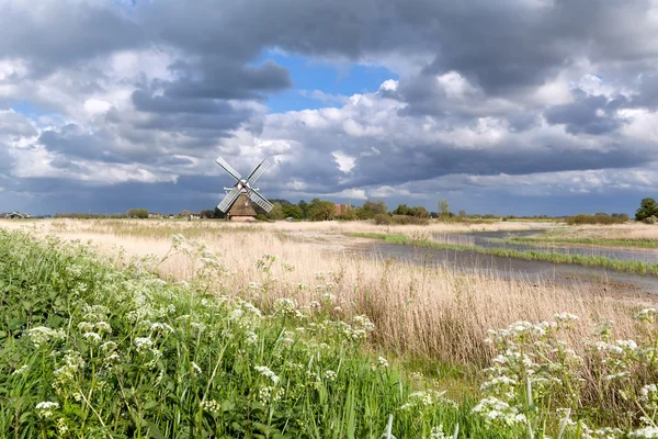 Nederlandse molen en wilde bloemen door rivier — Stockfoto