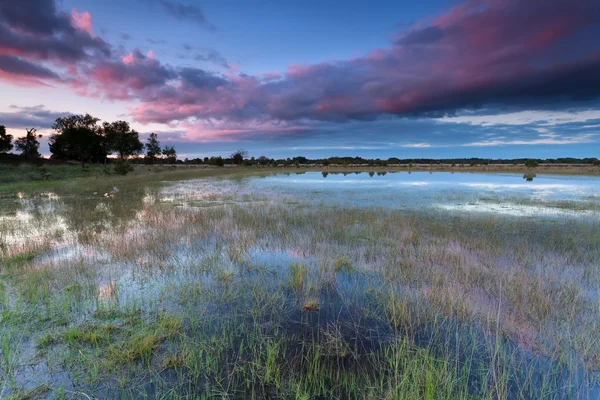 Sunset over wild lake after rain — Stock Photo, Image