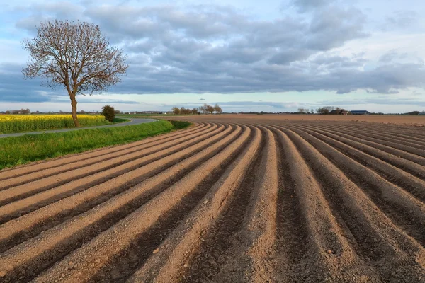 Plowed field on farmland — Stock Photo, Image