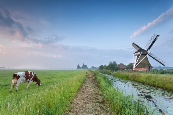 Vache sur pâturage et moulin à vent par rivière — Photo