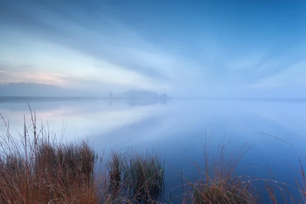 Niebla y paisaje nublado en el lago salvaje — Foto de Stock