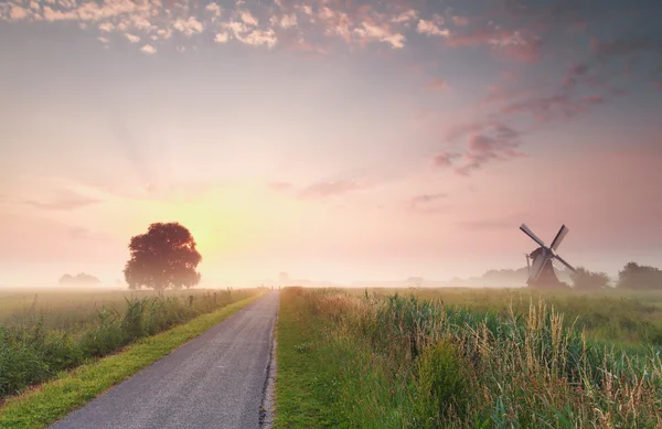 Schöner sommerlicher Sonnenaufgang auf holländischem Ackerland — Stockfoto